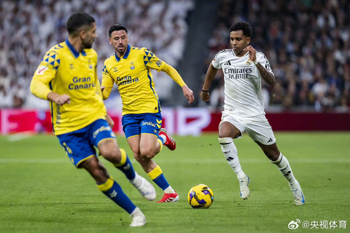 od体育在线登录-关于帕尔梅拉斯阵容齐整，劲旅全力以赴世俱杯争冠的信息